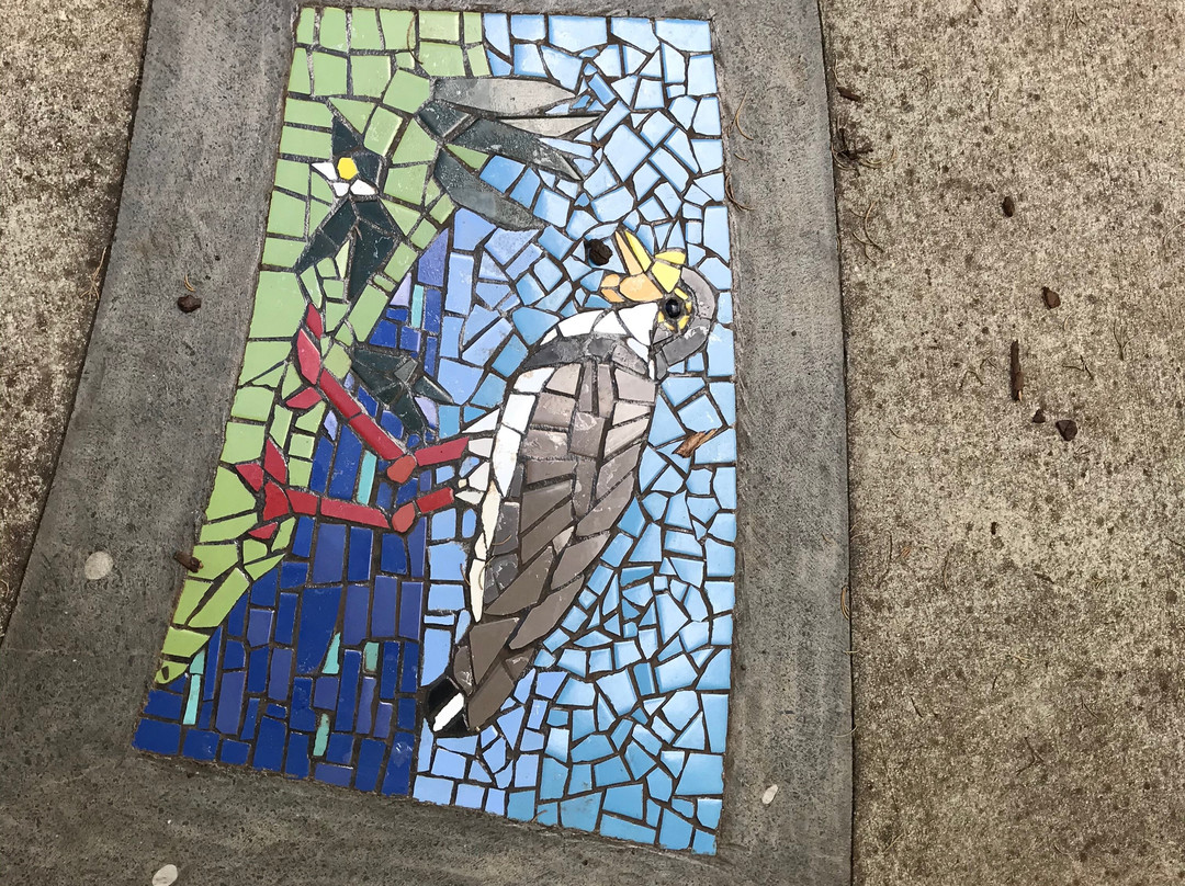 Mosaic Pathway-谢菲尔德必去景点