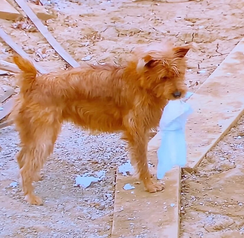 Spanish Fork River Trail-西班牙福克必去景点