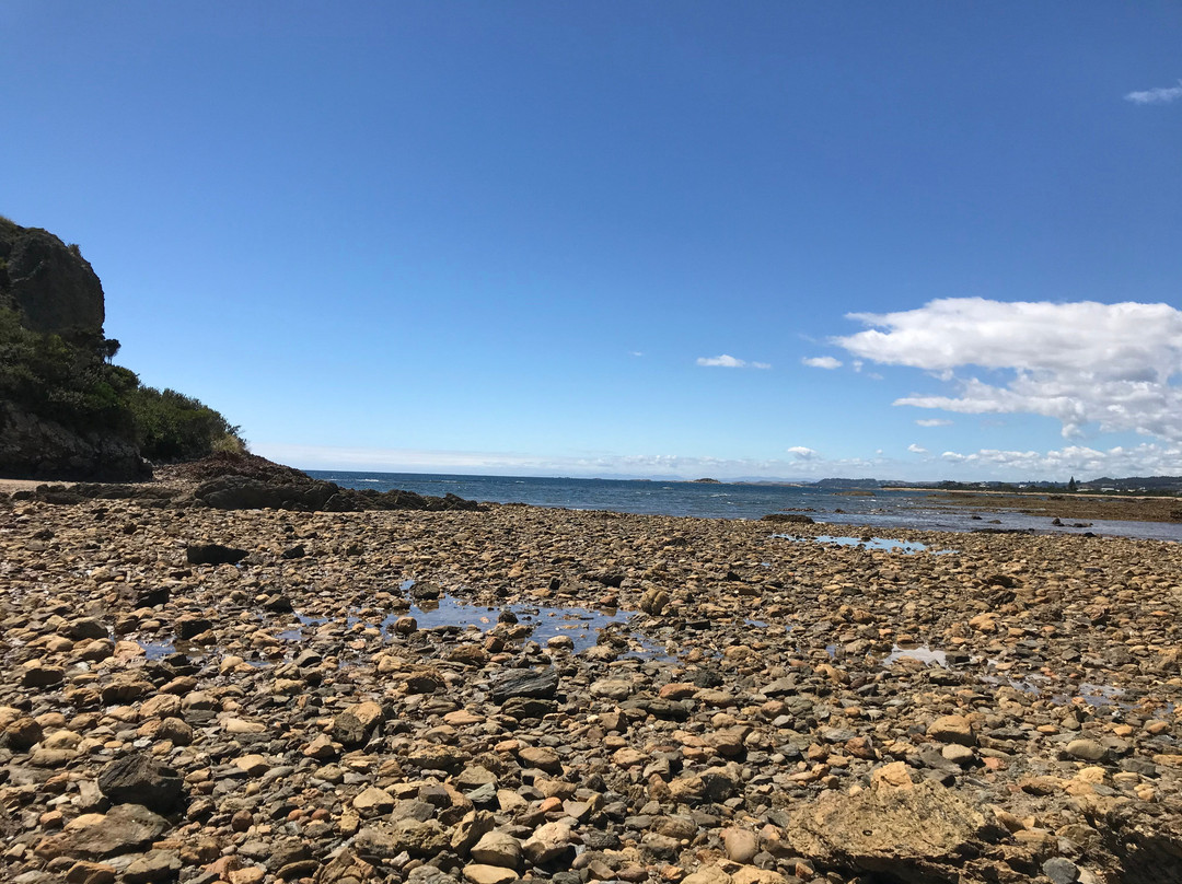 Goat Island-Ulverstone必去景点