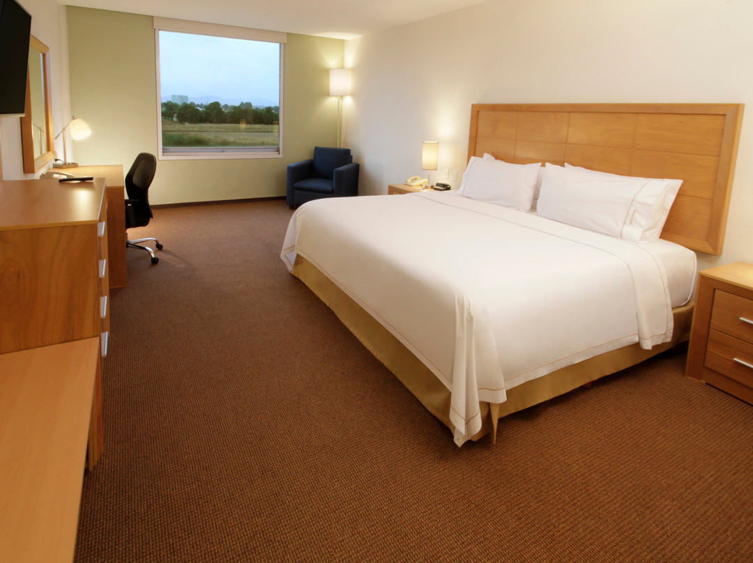 Holiday Inn Express & Suites Irapuato by IHG主图