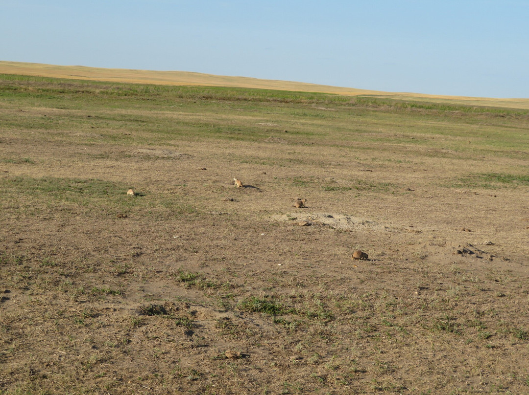 Sage Creek Wilderness Area-恶地国家公园必去景点