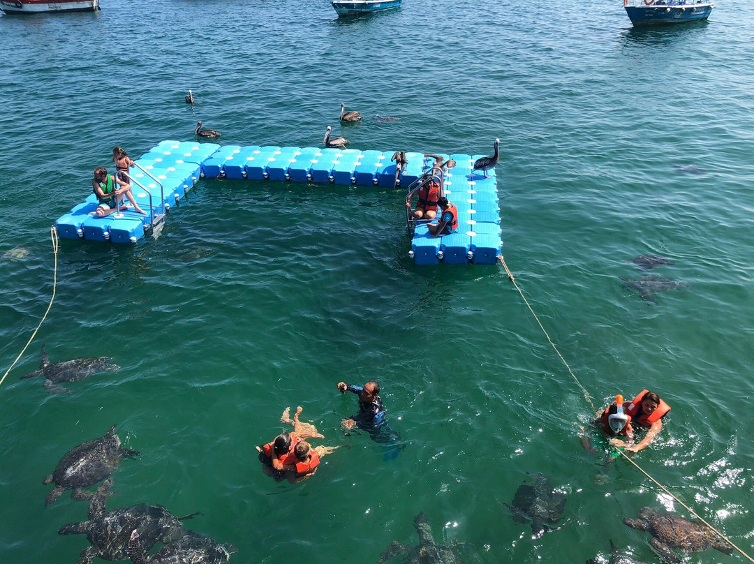 Puerto Velero-Organos必去景点