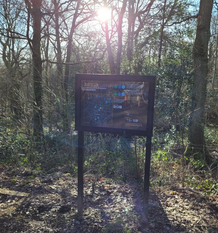 Ecclesall Woods-谢菲尔德必去景点