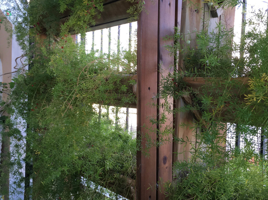 Casa de Leda - a Kali Hotel主图