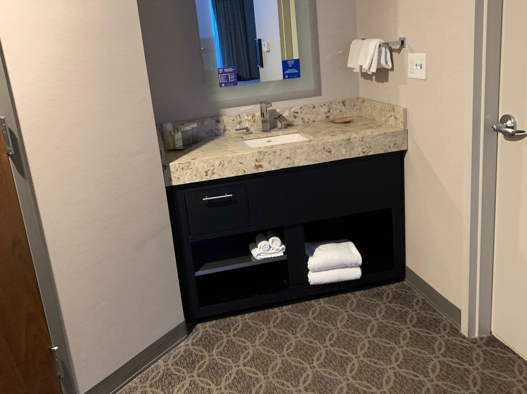 锡达拉皮兹会议中心希尔顿逸林酒店主图