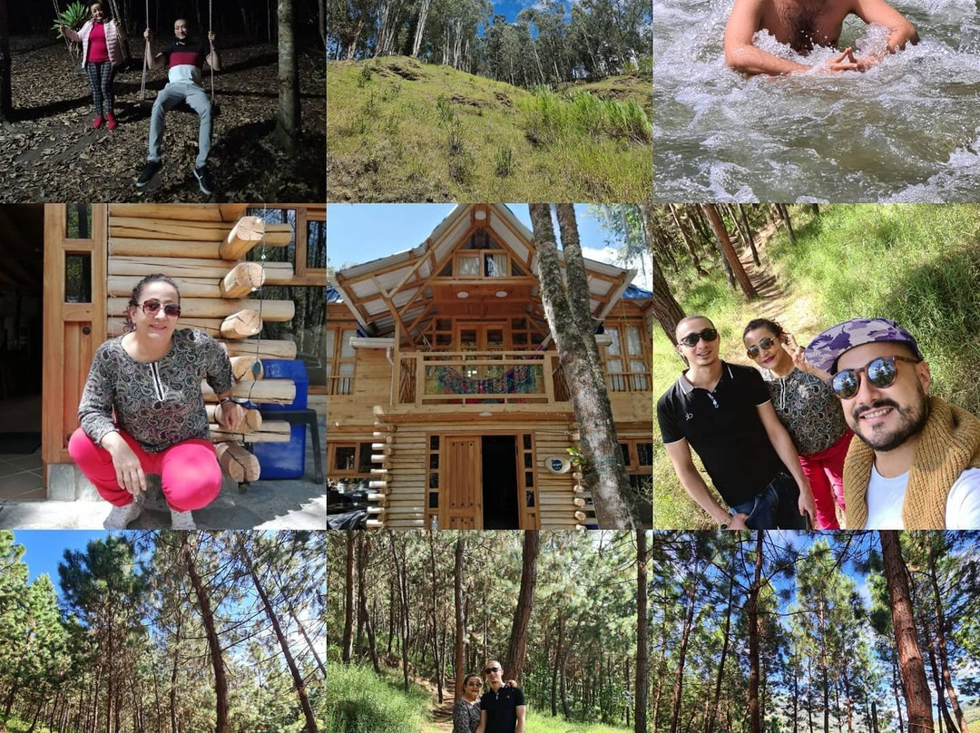 Urapanes Del Bosque主图