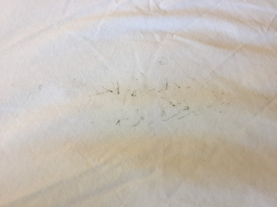 Lighthouse Inn主图