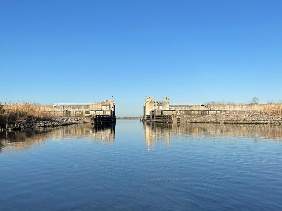 Happiness Bayou Tours-新奥尔良必去景点