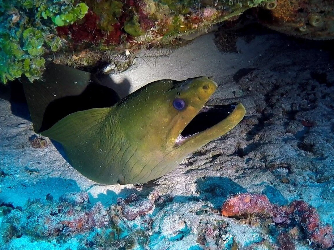 Kily The Kid-考祖梅必去景点