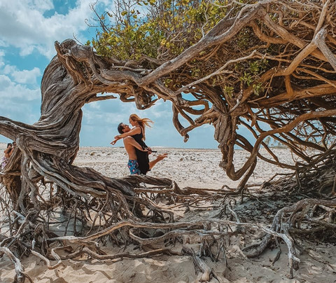 VEM PRA JERI-杰里科科拉必去景点