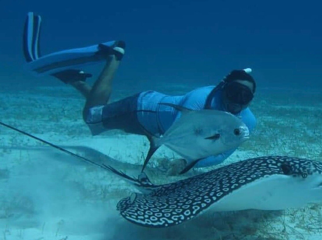 Cancun Smart Pass-坎昆必去景点