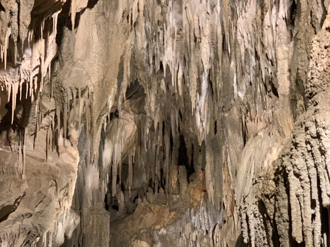 Ngarua Caves-莫图伊卡必去景点