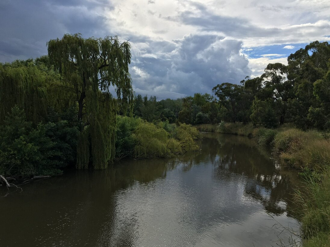 Jerrabomberra Wetland景点图片