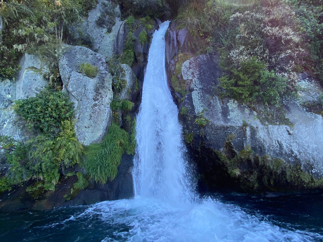 Chasing Waterfalls with Taxicat Adventures景点图片