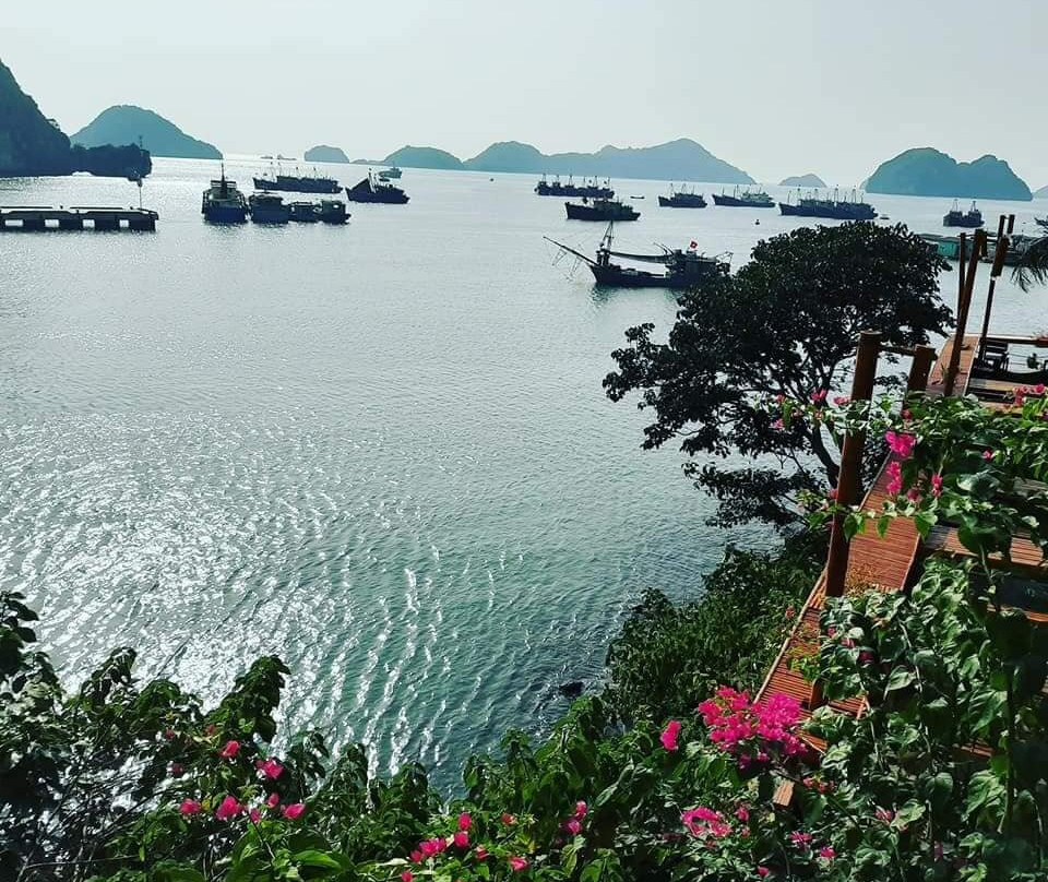 Blue Swimmer Adventures-卡巴必去景点