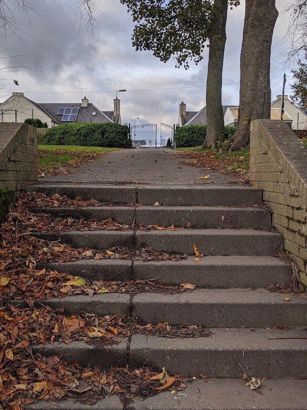 Rosewell Park-Rosewell必去景点