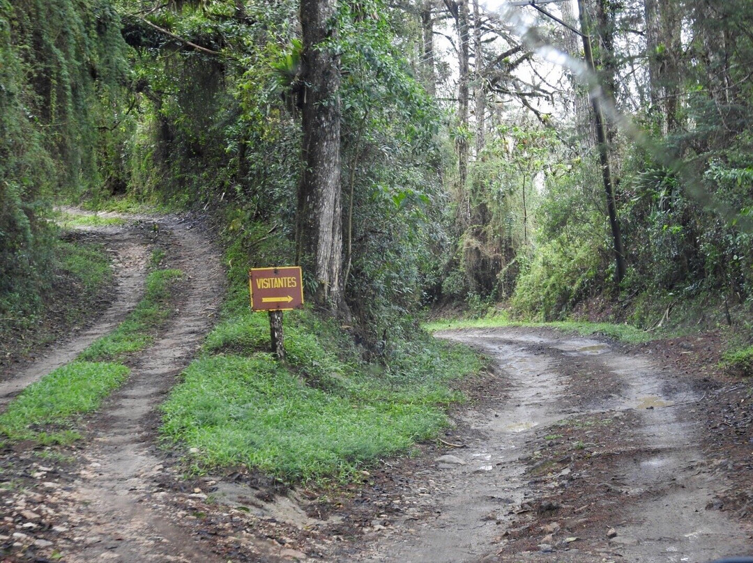 Parque Nacional da Serra da Bocaina-Sao Jose do Barreiro必去景点