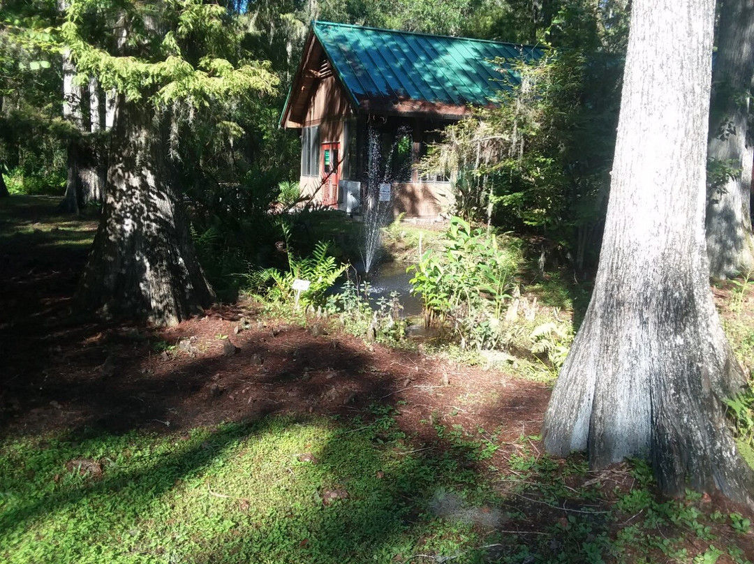 Eureka Springs Park-坦帕必去景点