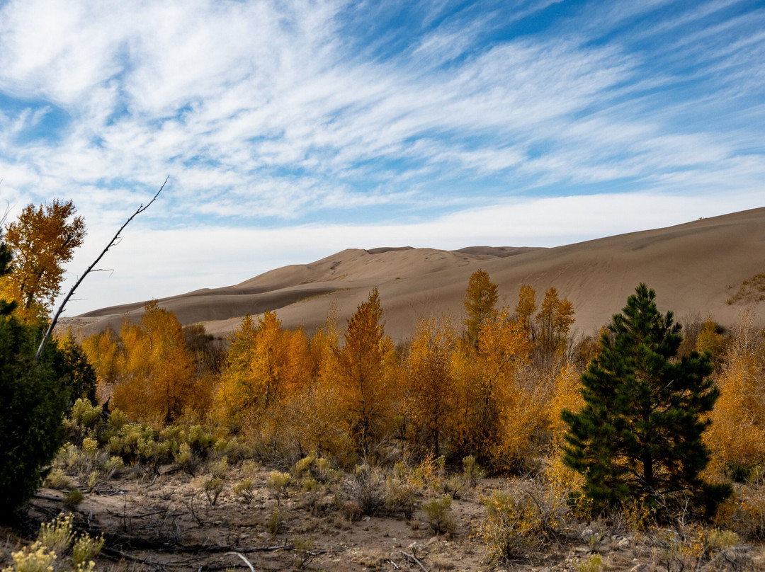 Pathfinders 4x4-Saguache必去景点