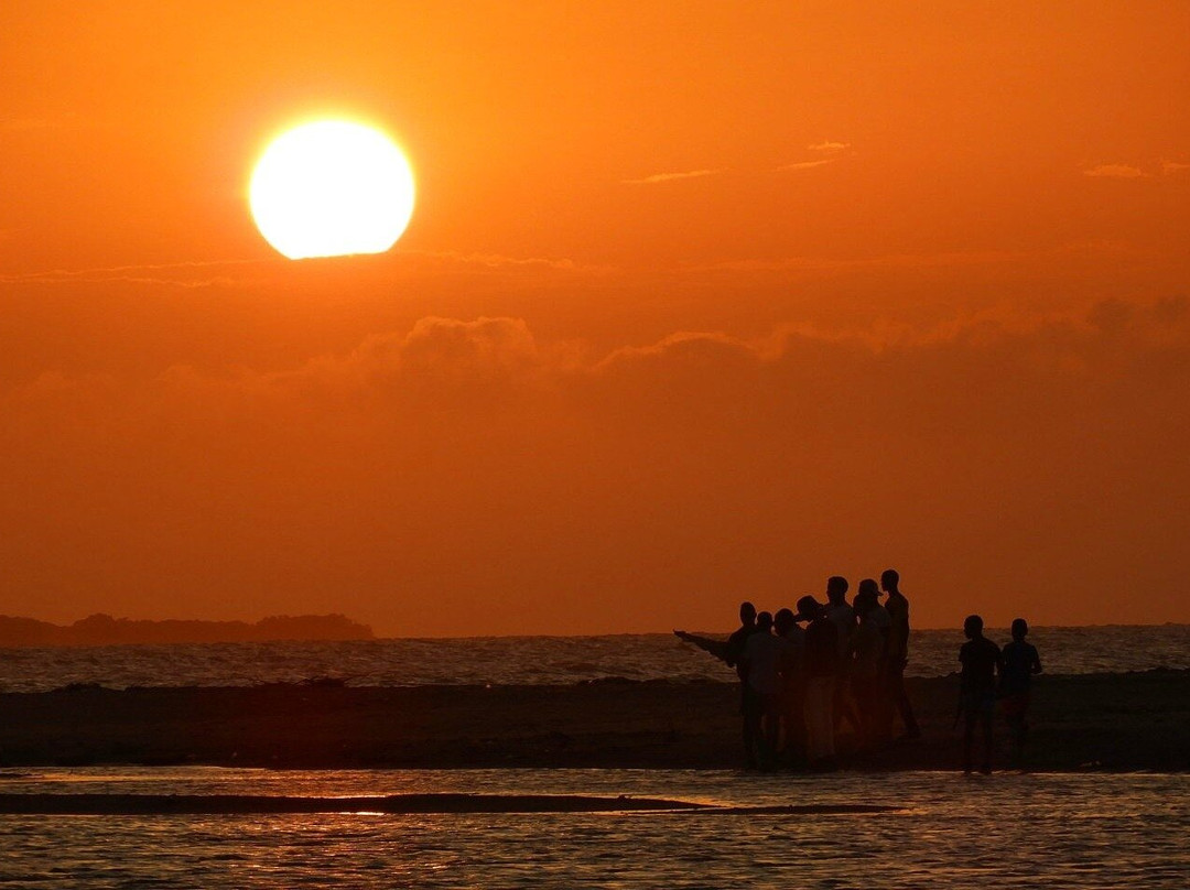 Guajira Birding Travel
