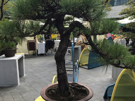 浦东嘉里城-上海市必去景点