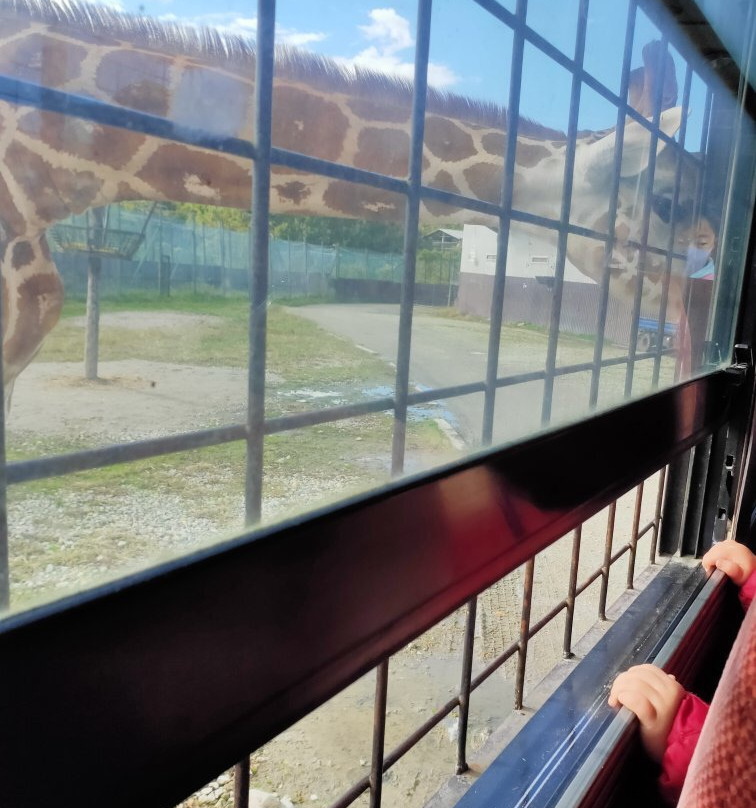 Nasu Safari Park景点图片