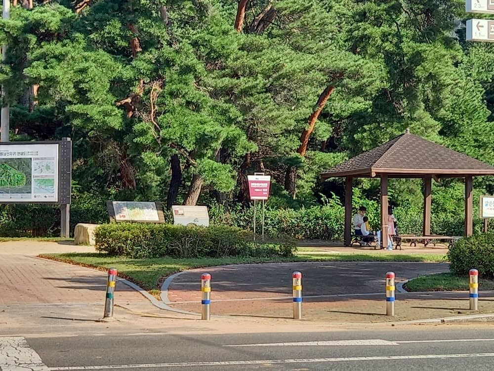 Namsan Mountain-庆州市必去景点