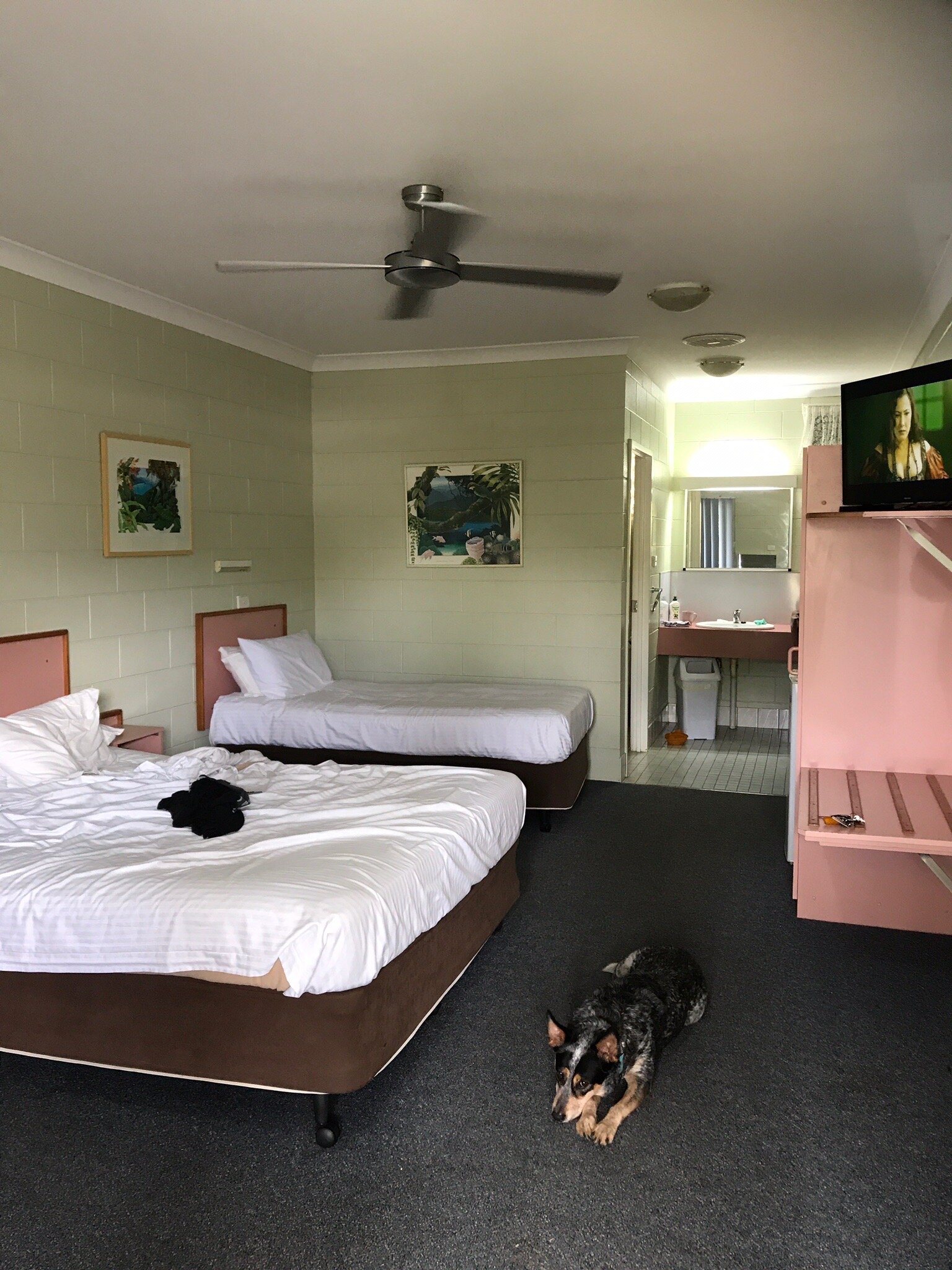 Yungaburra Park Motel-官方