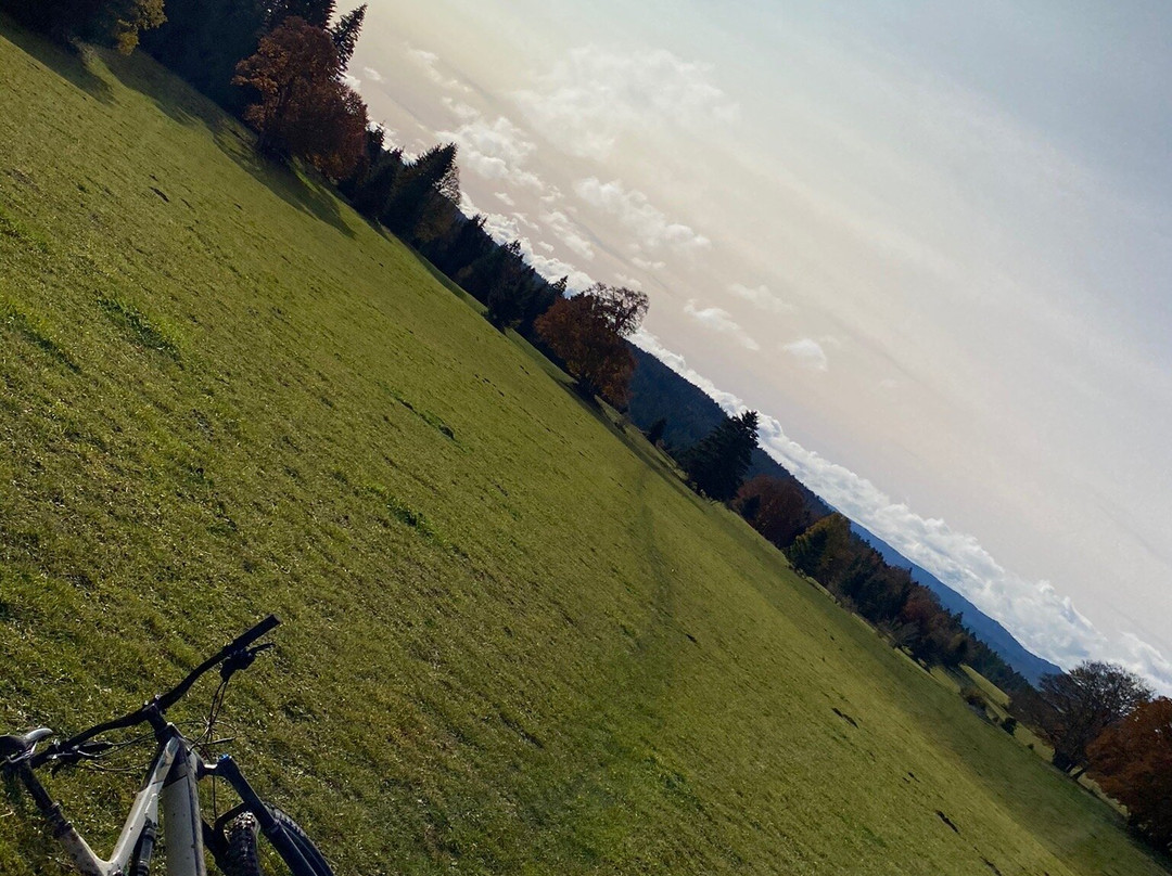 Station VTT de Métabief-Metabief必去景点
