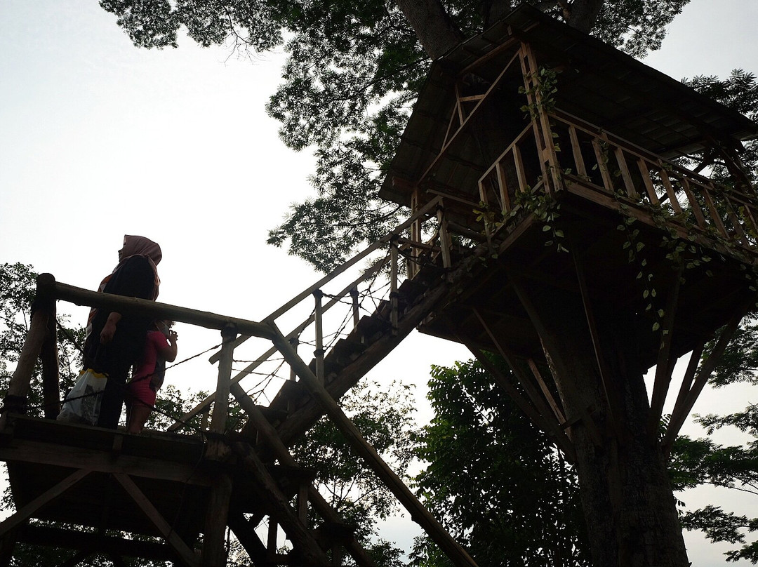 Harper Purwakarta主图