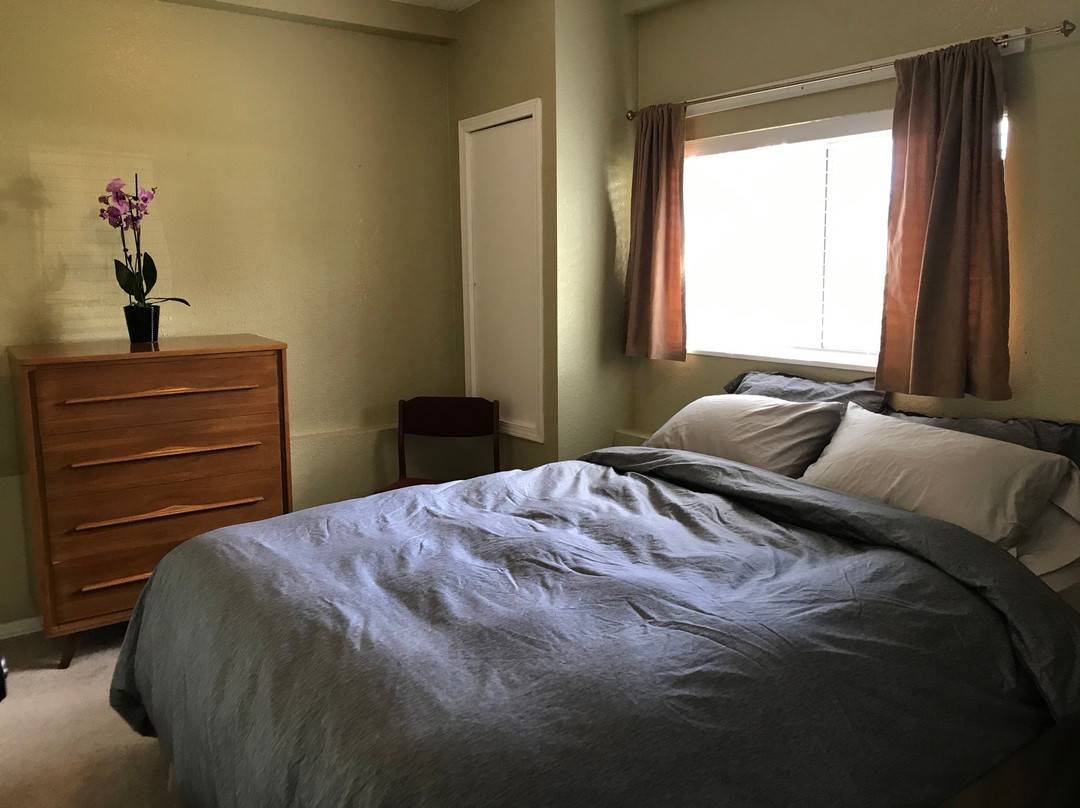 Cumberland Guesthouse主图