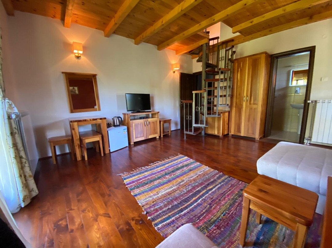Rooms and Apartments Mirovic主图
