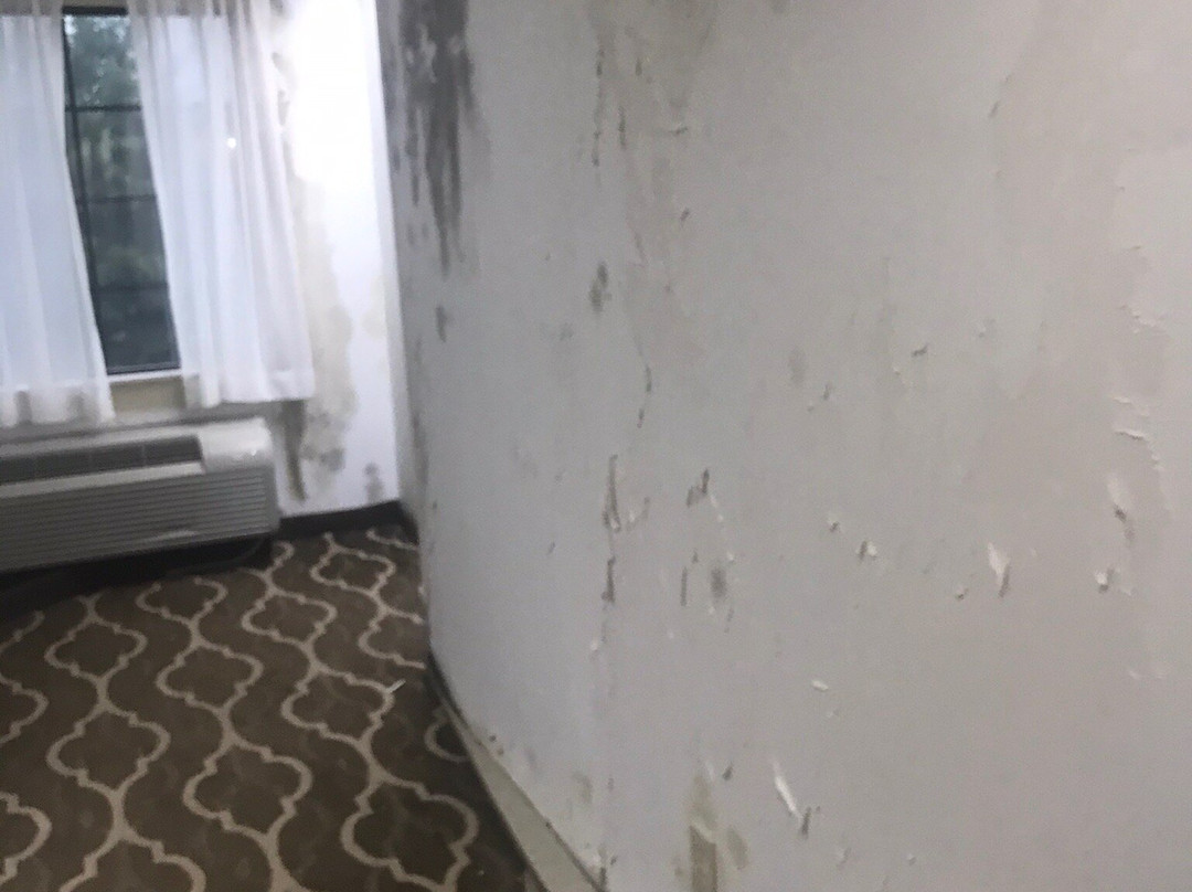 Comfort Inn Shreveport I-49主图