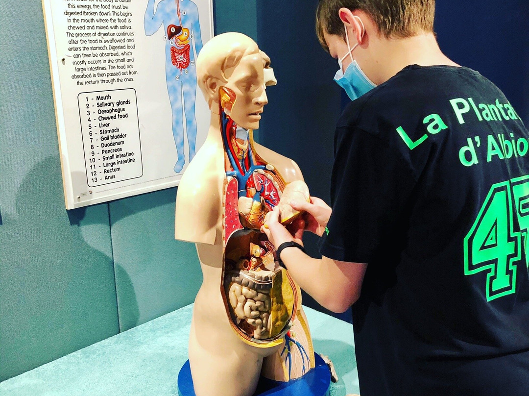 Sharjah Science Museum-沙迦必去景点