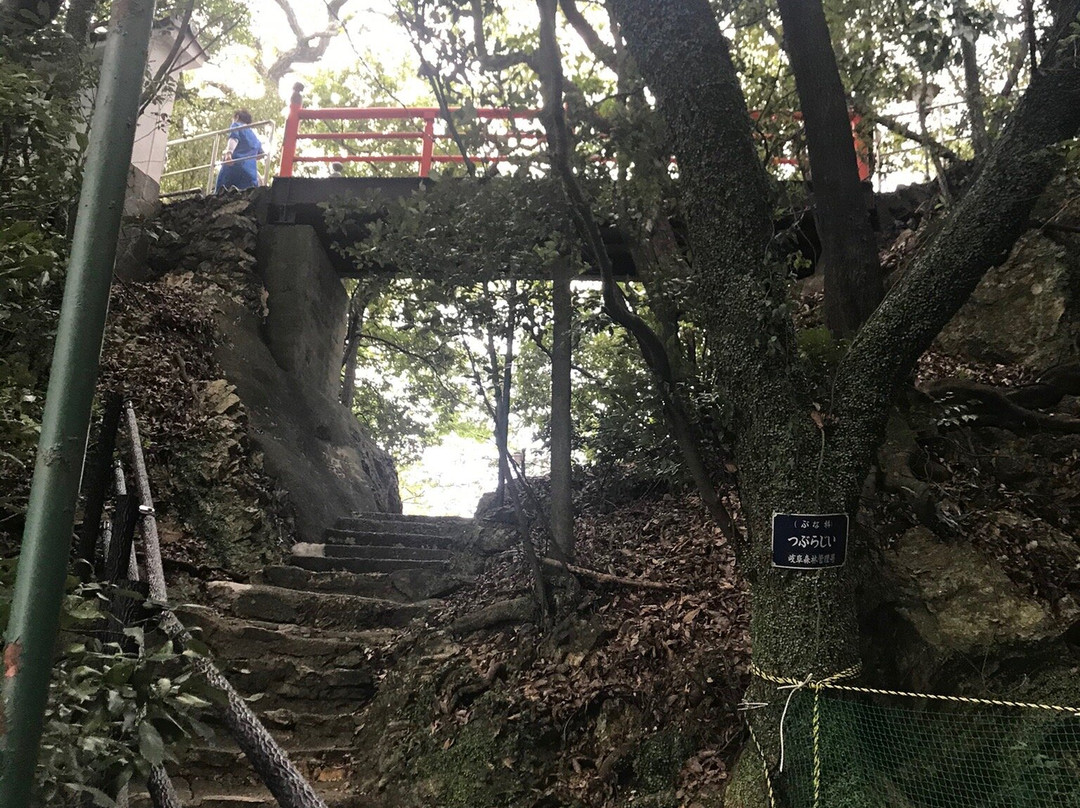 Mt. Kinka-岐阜市必去景点