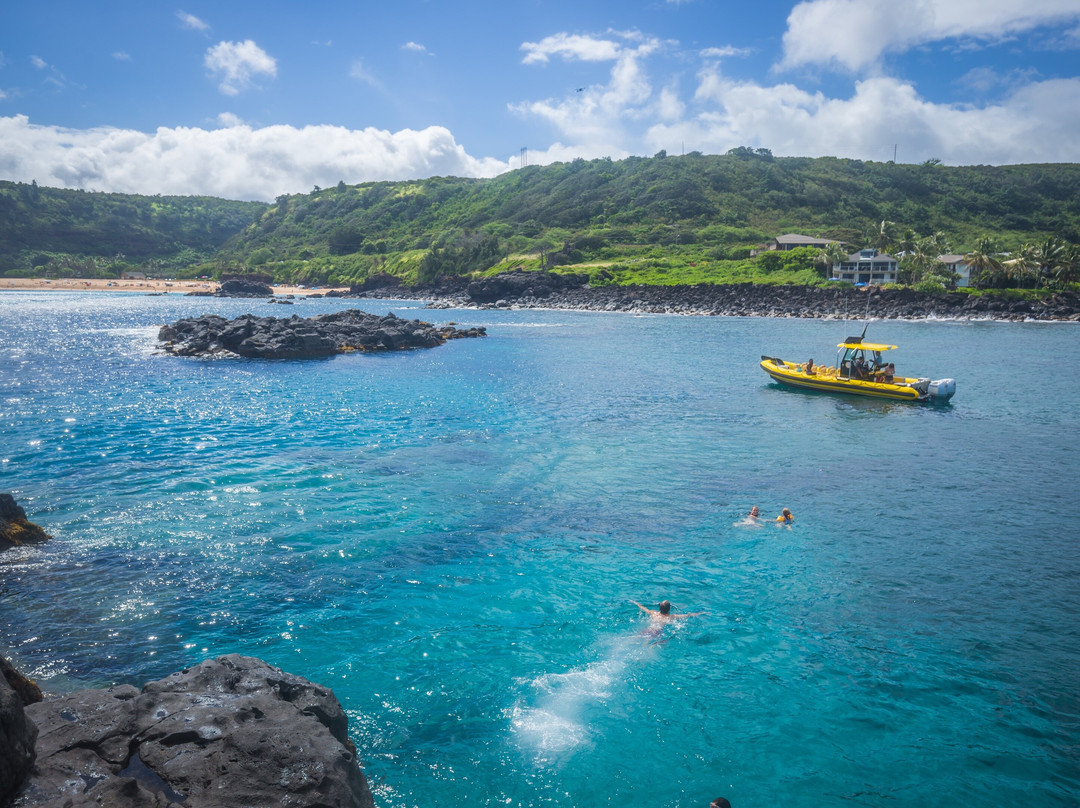 Ocean Outfitters Hawaii-哈雷瓦必去景点