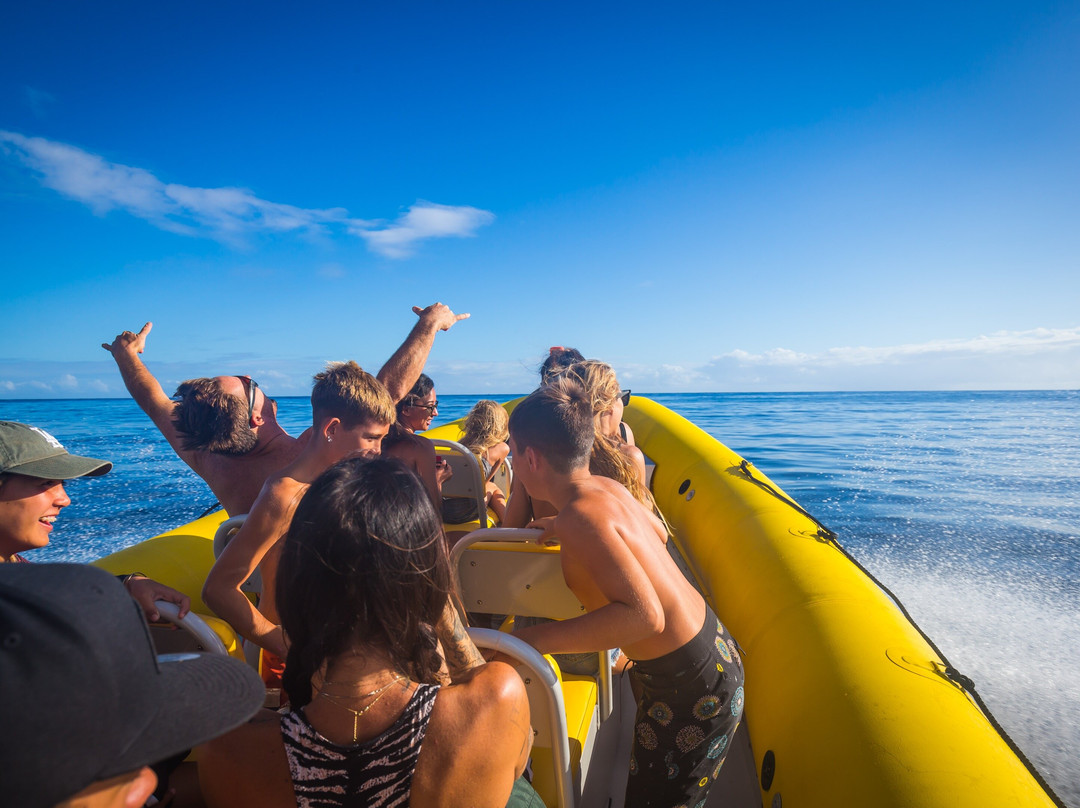 Ocean Outfitters Hawaii-哈雷瓦必去景点