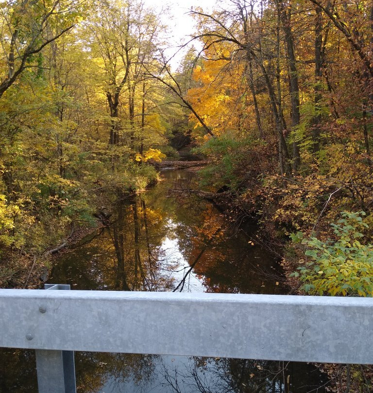 Oakdale Nature Preserve-弗里波特必去景点