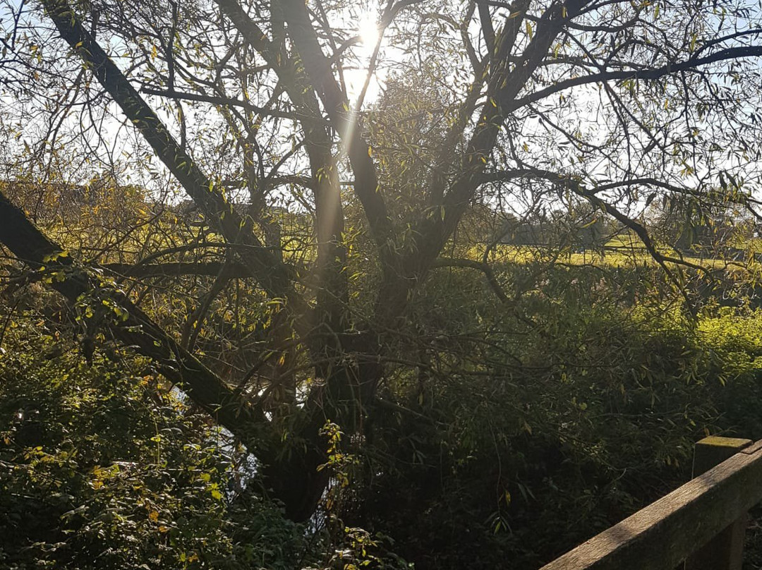 Nantwich Lake-Nantwich必去景点