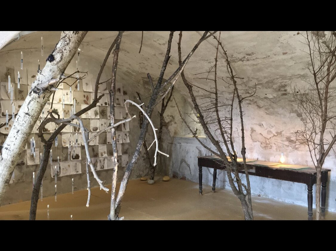 Il Bosco Delicato-Monticello d'Alba必去景点