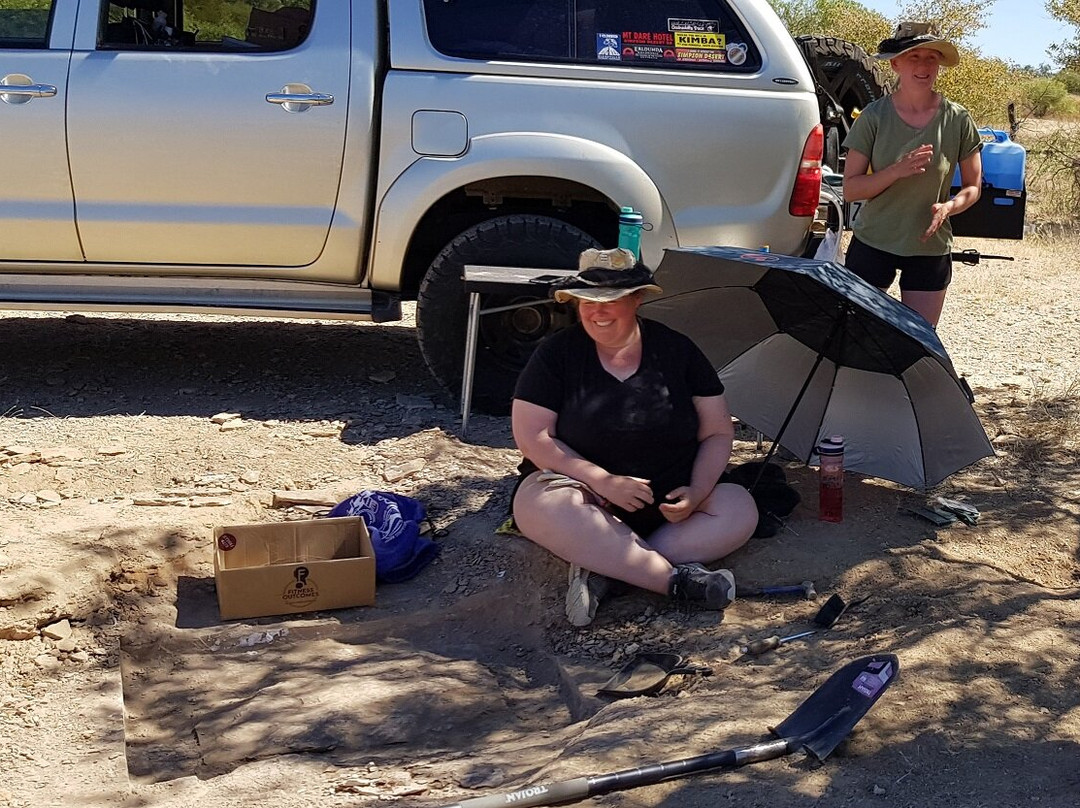 Richmond Fossil Hunting Sites-Richmond必去景点