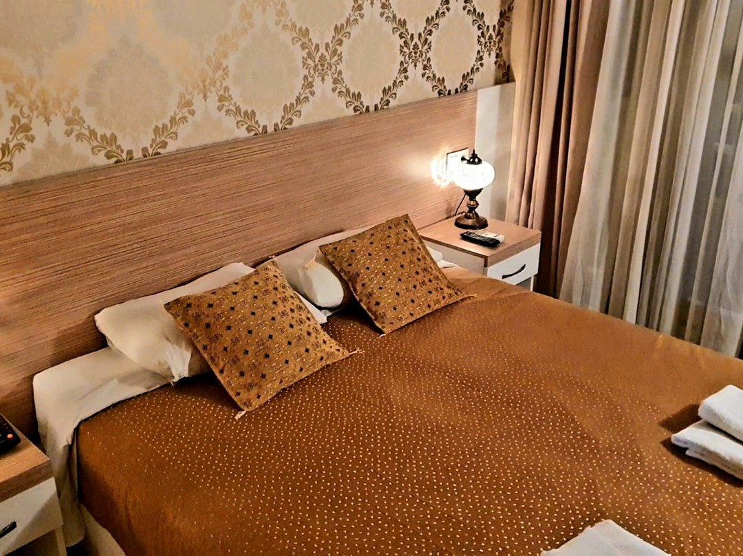 尼西亚酒店主图