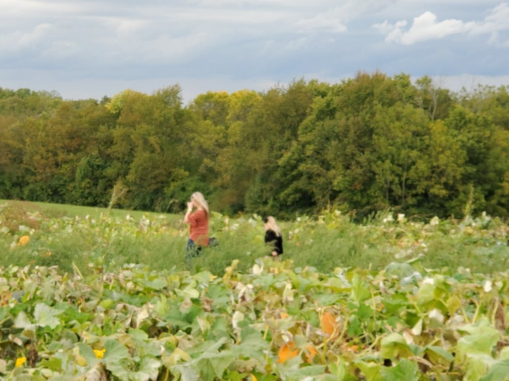 Bi-Water Farm-Georgetown必去景点