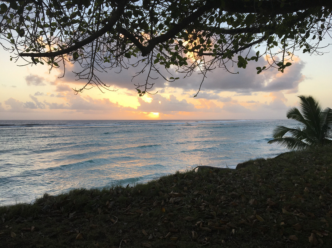 科科斯度假饭店主图