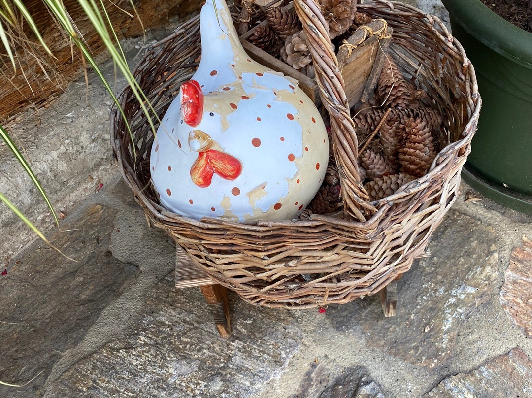 Weingut Schatz主图