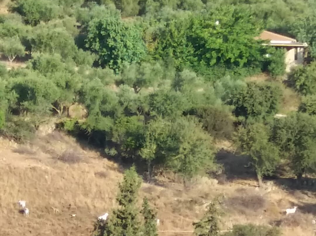 Sea View Village主图