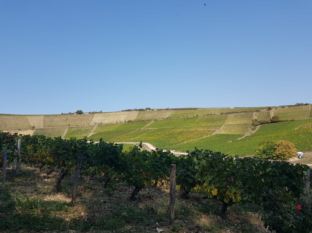Vinitour Centre-Loire-桑塞尔必去景点