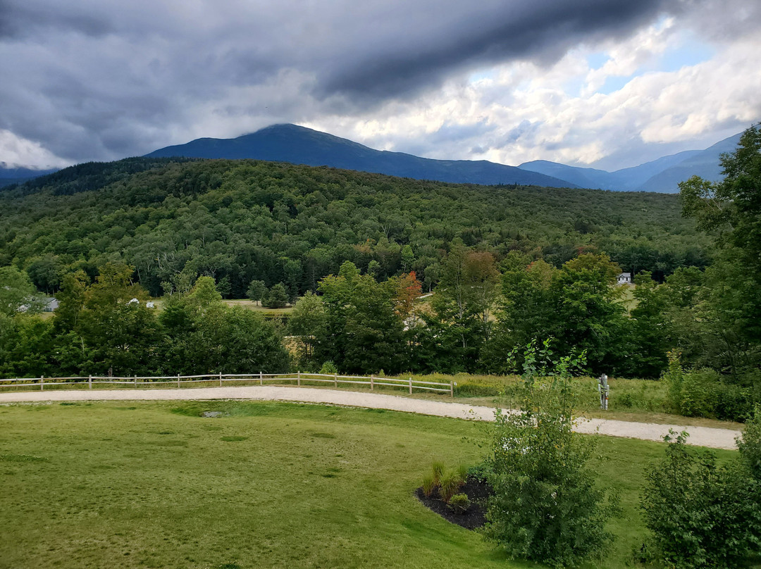 The Glen House主图