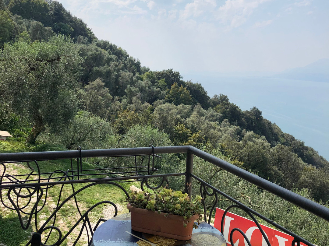 Contrada Campo di Brenzone景点图片