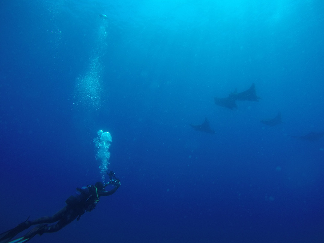 CW Azores-Madalena必去景点